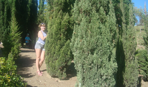 DSC07240 - копия - копия