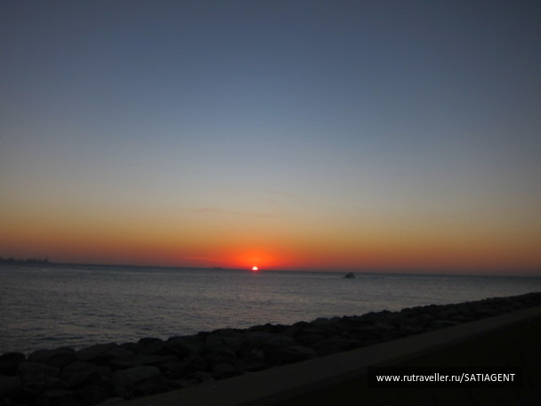 photo 69935