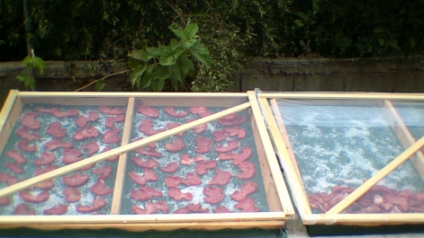 photo 857859