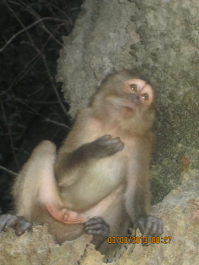 photo 691435