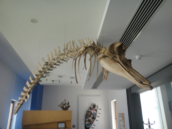 photo 712911