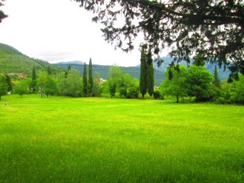 photo 762552