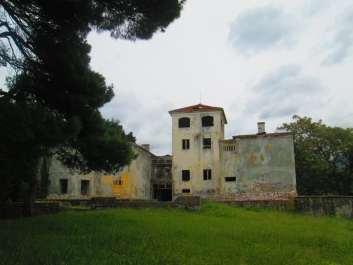 photo 762559