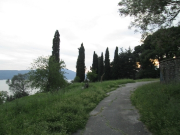 photo 762561