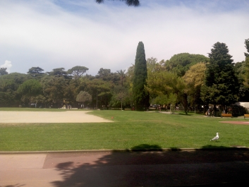 photo 821963
