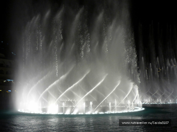photo 258413