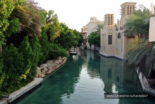 photo 258422