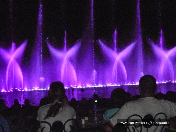 photo 397922