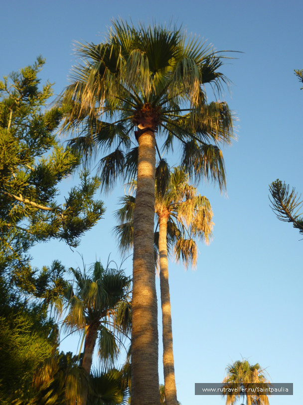 photo 397941