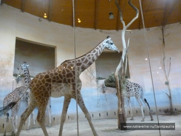 photo 398513