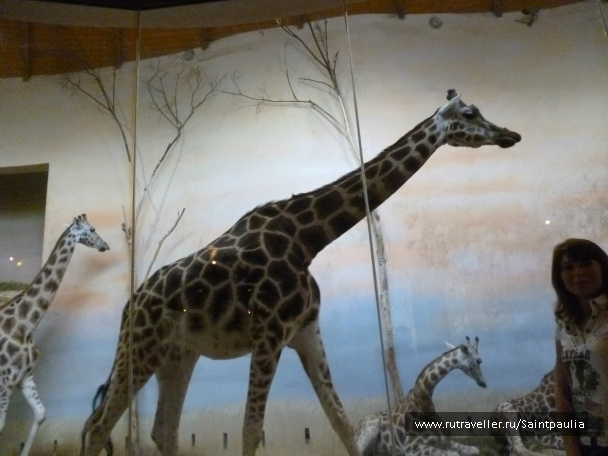 photo 398514