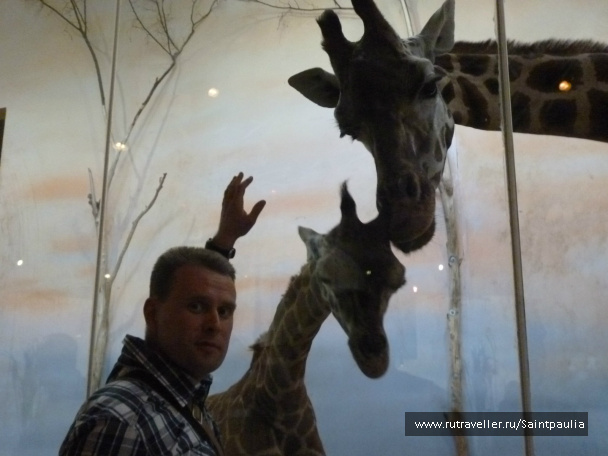 photo 398516