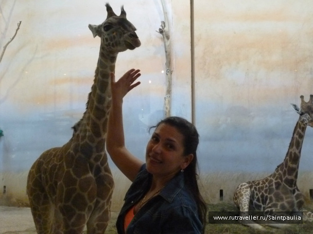 photo 398517