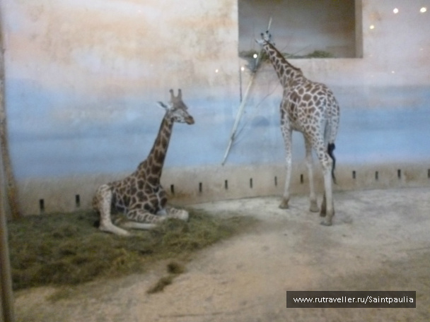 photo 398518