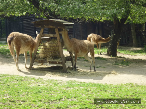 photo 398519