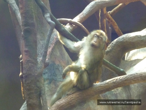 photo 398522