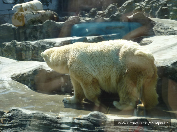 photo 398523