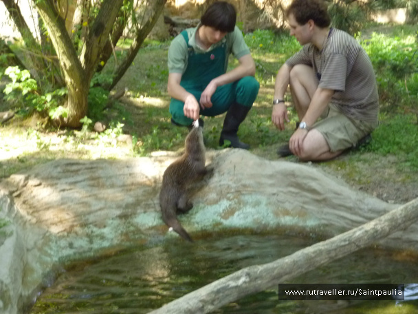 photo 398524