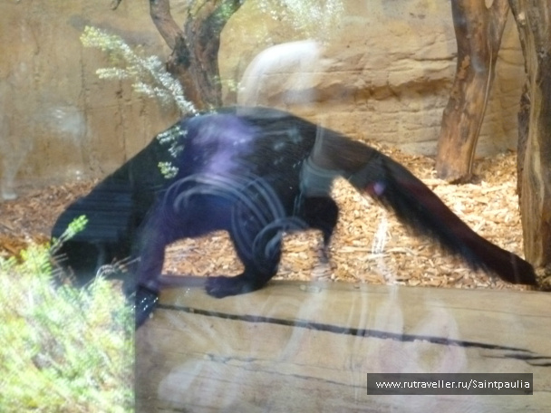 photo 398525
