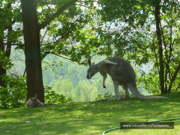 photo 398526