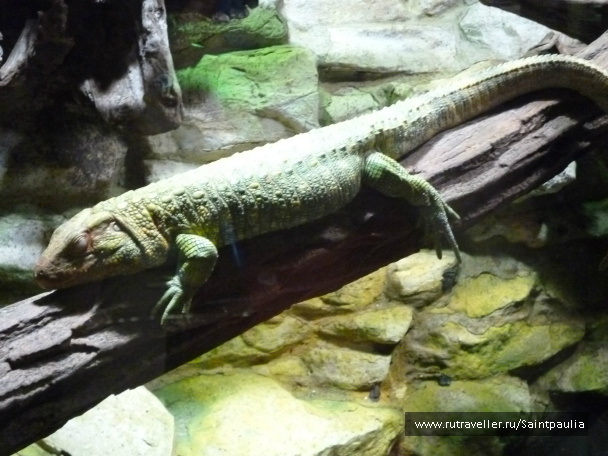 photo 398531
