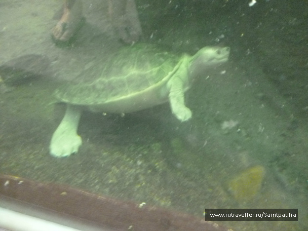 photo 398536
