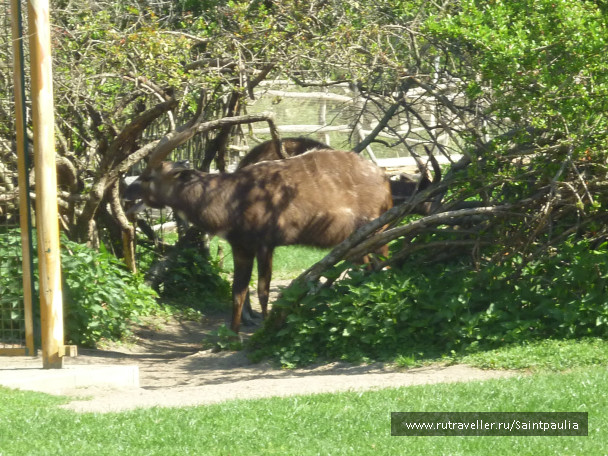photo 398545