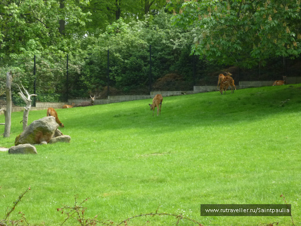 photo 398582