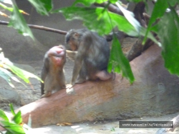 photo 398584