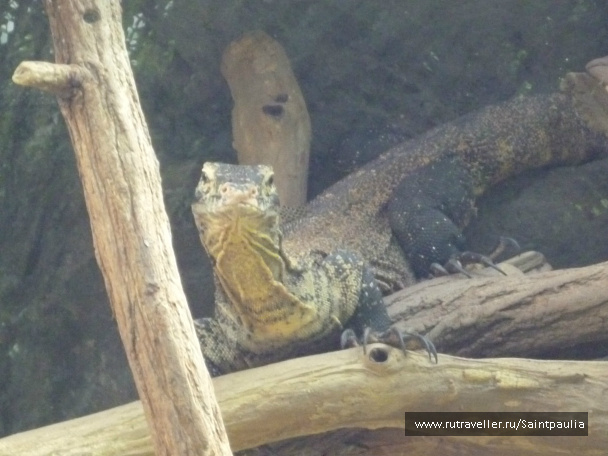 photo 398587