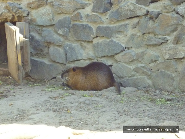 photo 398590
