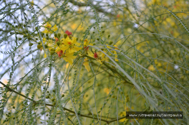 photo 467690