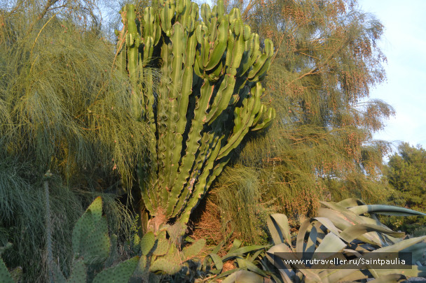 photo 467691