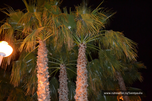photo 467696