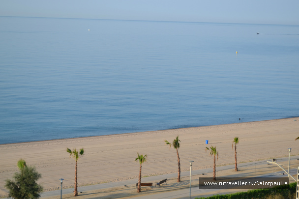 photo 438361