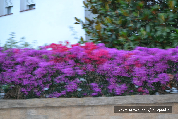 photo 438364