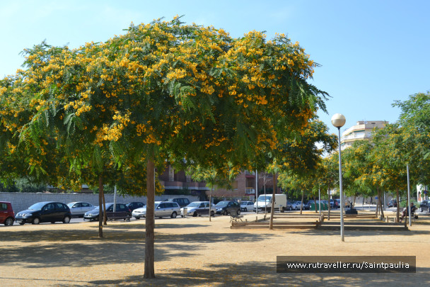photo 438372