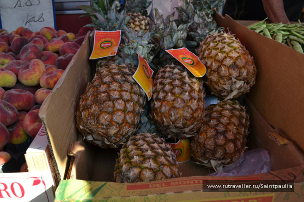 photo 492333