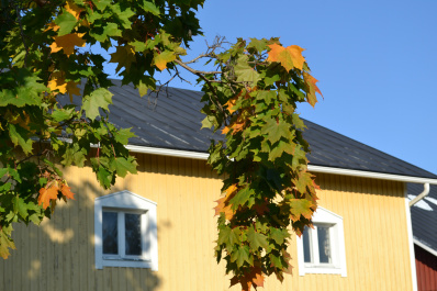 photo 514908