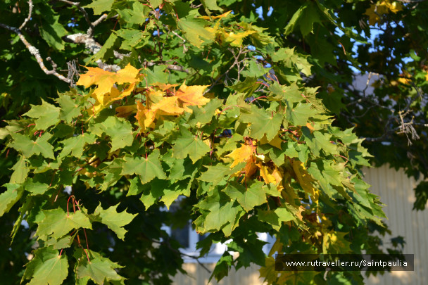 photo 514909