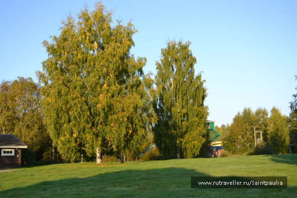 photo 514921