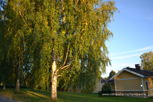 photo 514927