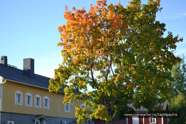 photo 514934
