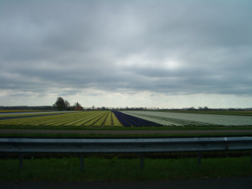 photo 276212