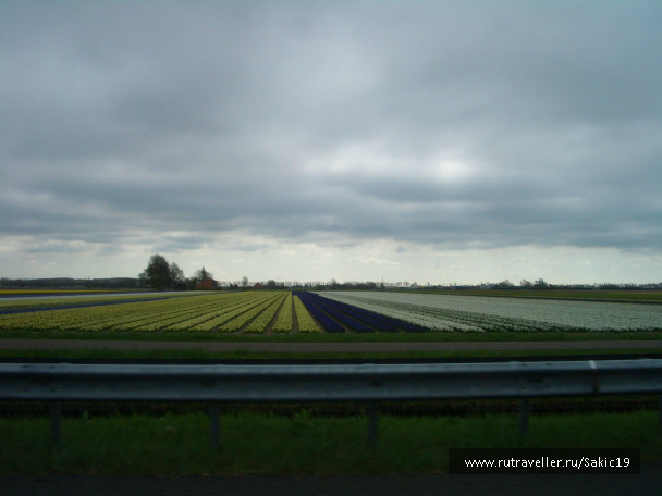 photo 276212
