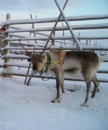 photo 276369
