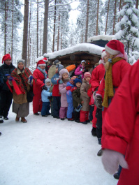 photo 276373