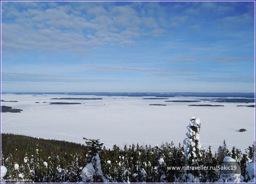 photo 294702