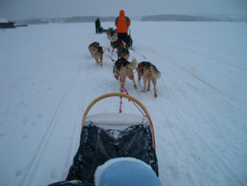 photo 294705