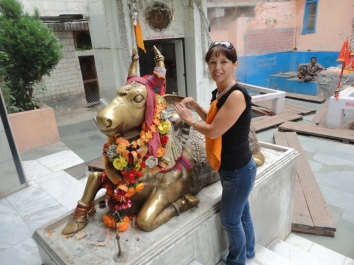 photo 173341